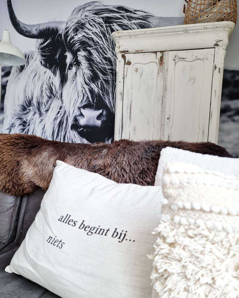 Highlander scozzese in bianco e nero