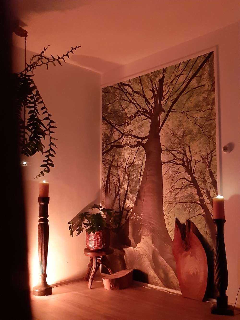 Grande albero e radici