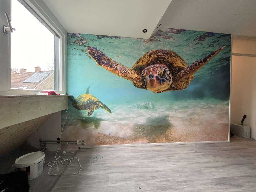 Tartaruga marina nell'oceano