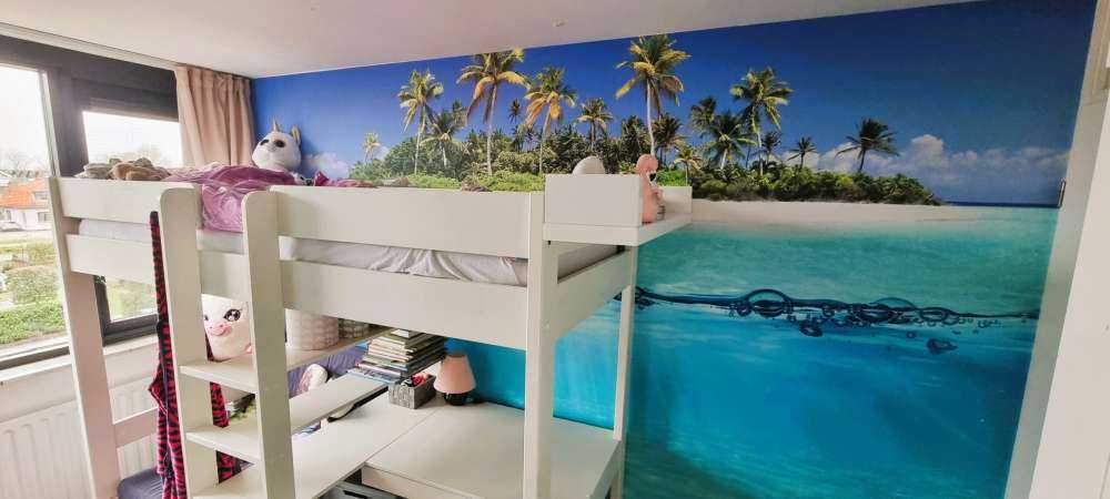 Isola tropicale e barriera corallina