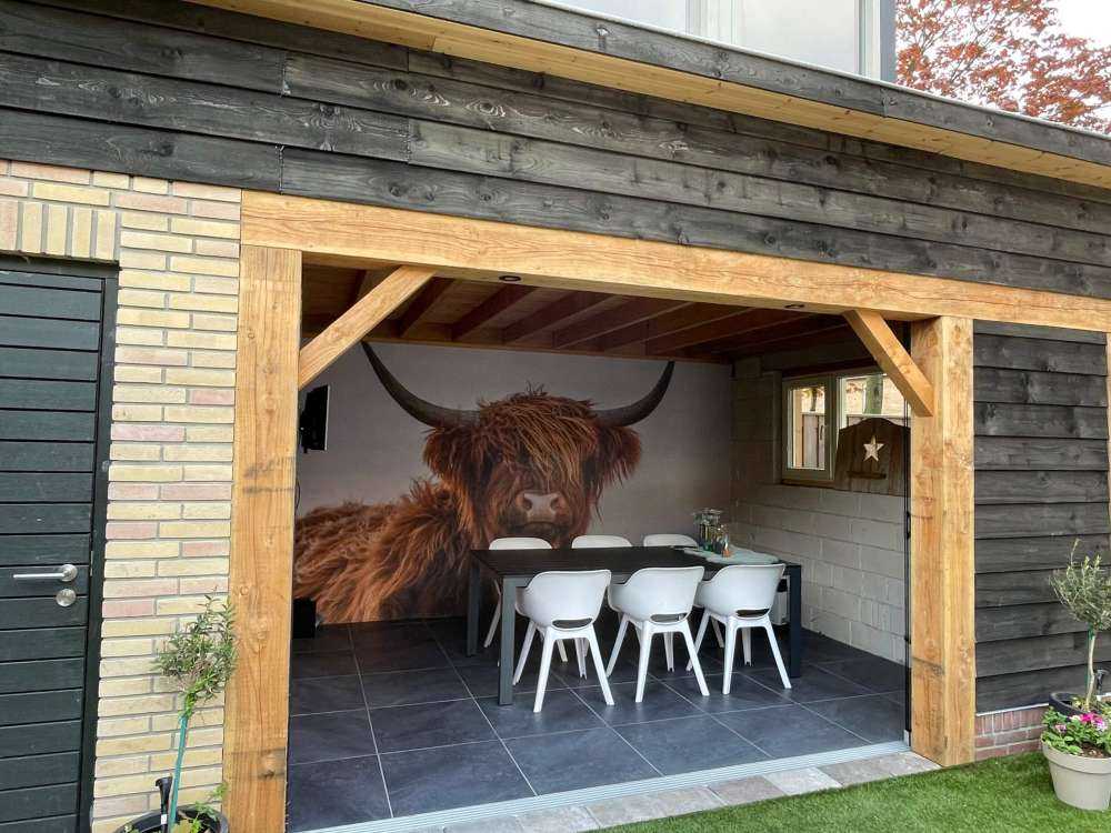 Staring Highlander scozzese