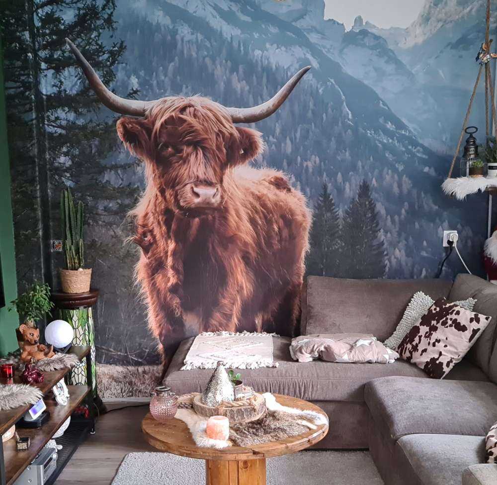 Highlander scozzese tra gli alberi