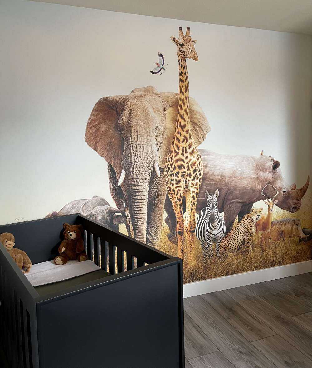 Animali nella savana