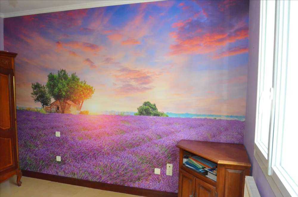 Campo di lavanda all'alba