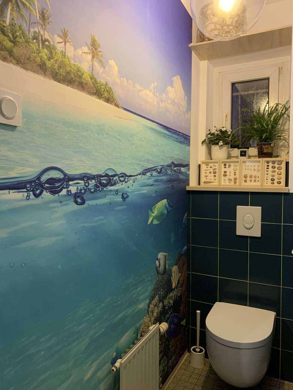 Isola tropicale e barriera corallina