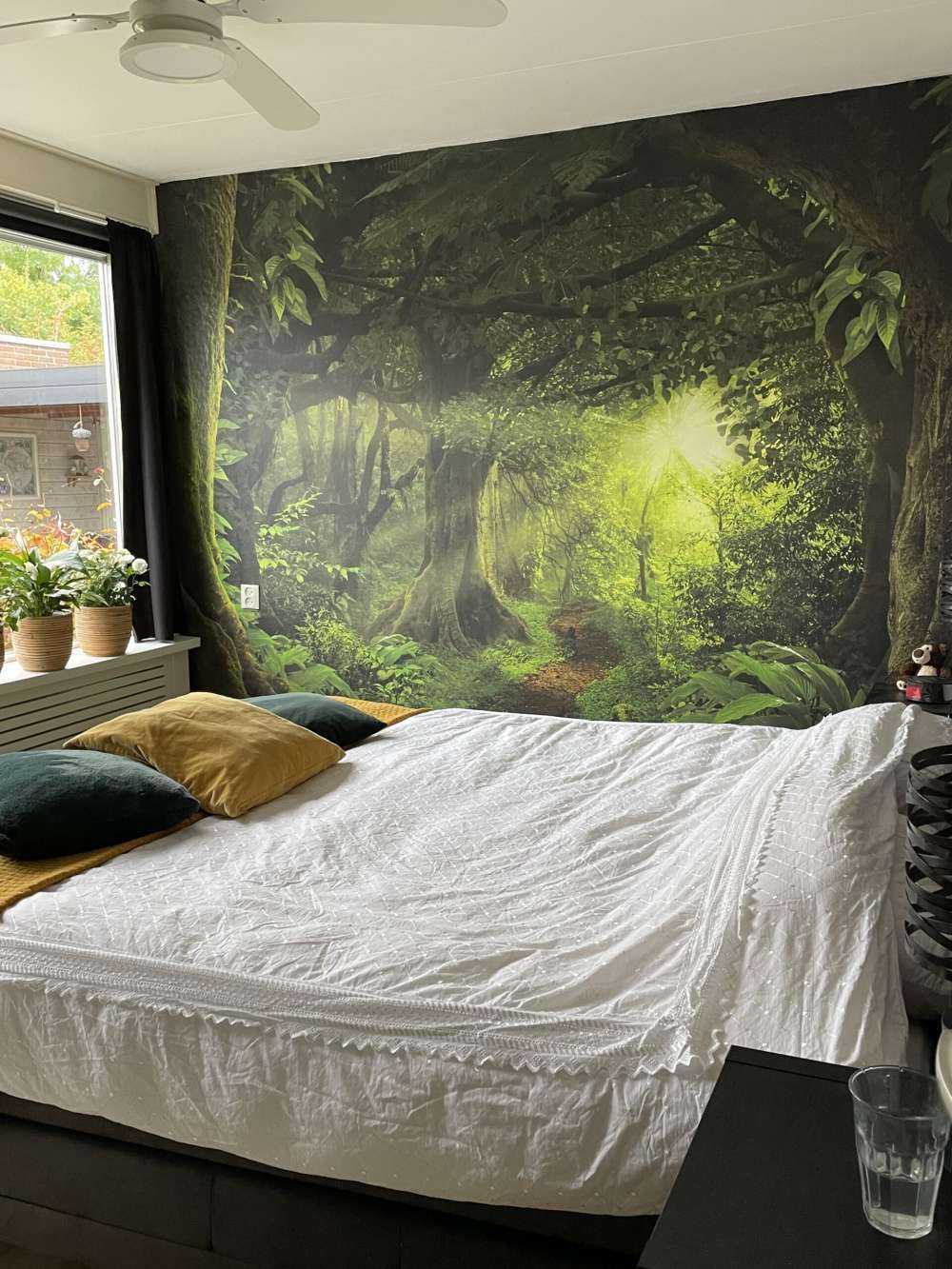 Giungla tropicale con luce solare