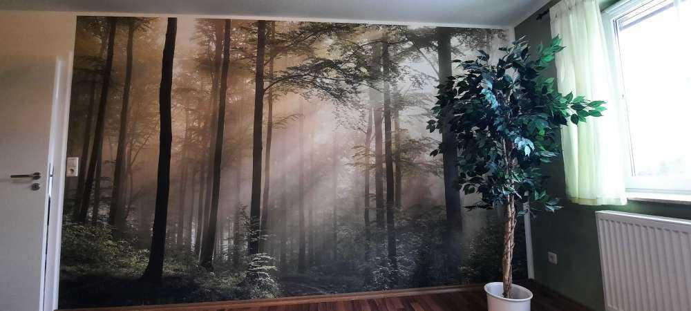 Foresta verde nella nebbia