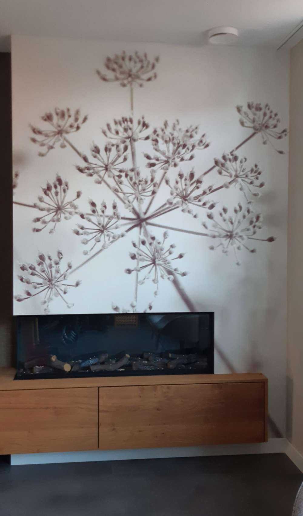 Prezzemolo di mucca ravvicinato