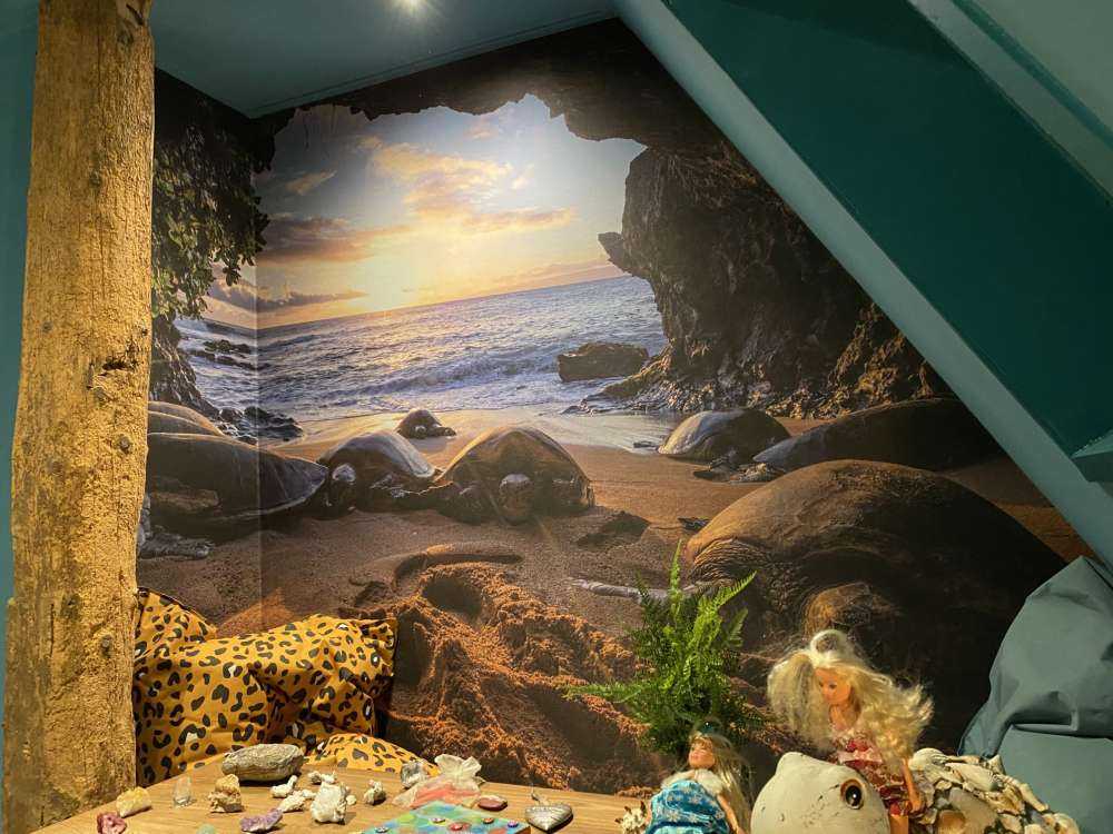 Tartarughe in una grotta