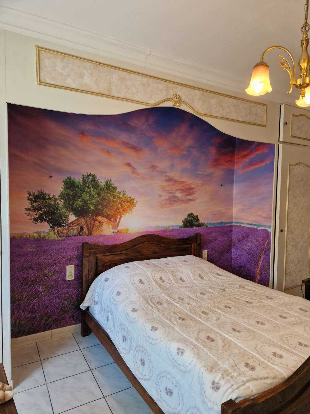 Campo di lavanda all'alba