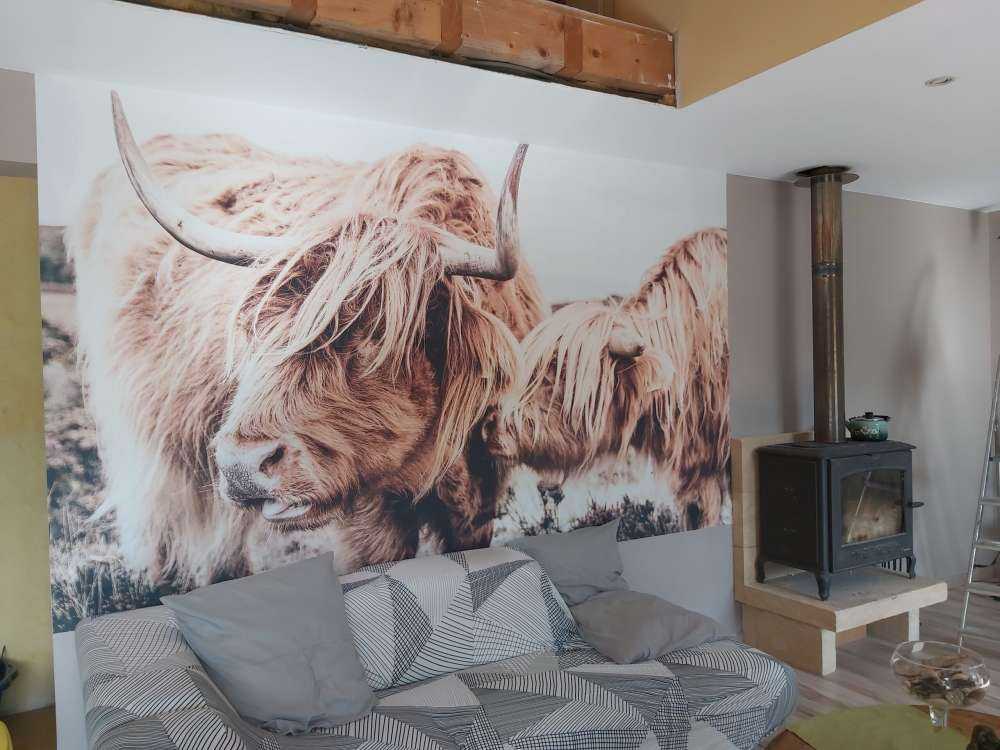 Due Highlander scozzesi