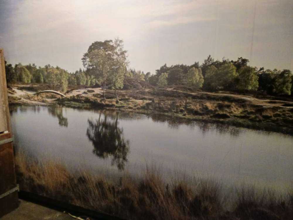 Un piccolo lago forestale nella zona brughiera 