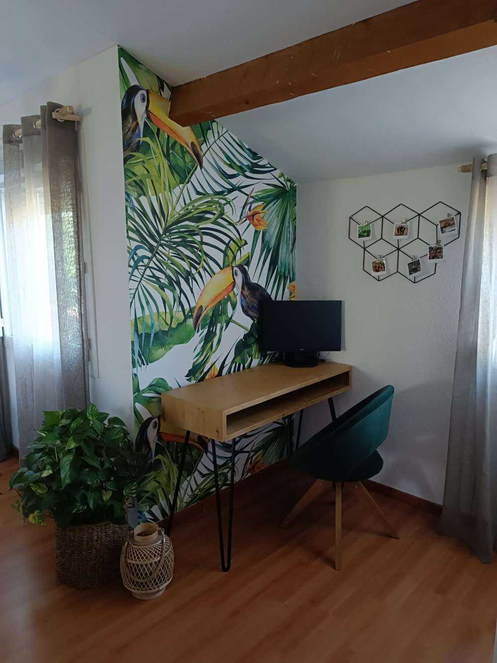 Tucano tra le foglie