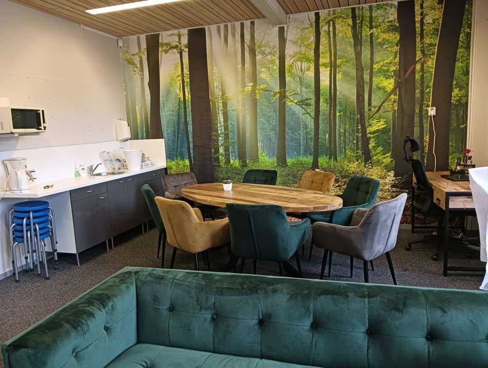 Mattina nella foresta