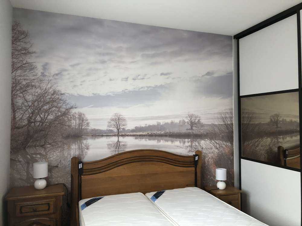 Stagno nella foresta