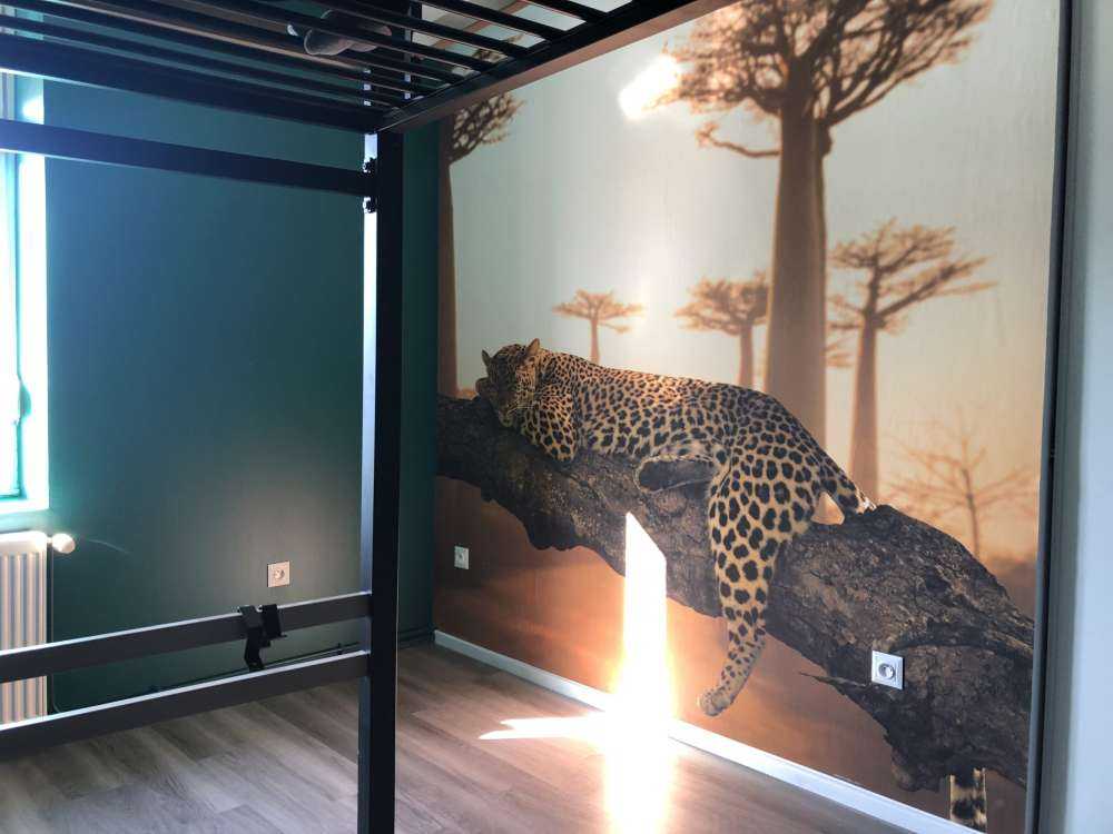 Leopardo addormentato