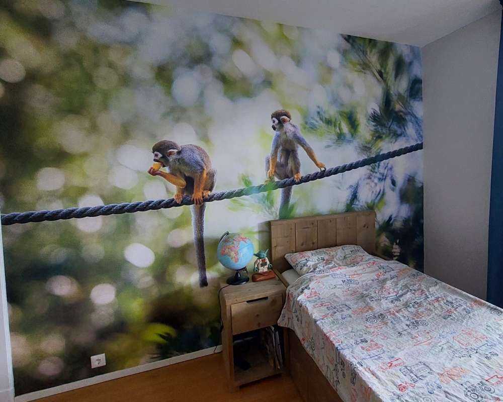 Scimmie scoiattolo su corda