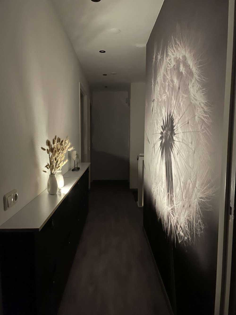 Tarassaco al tramonto