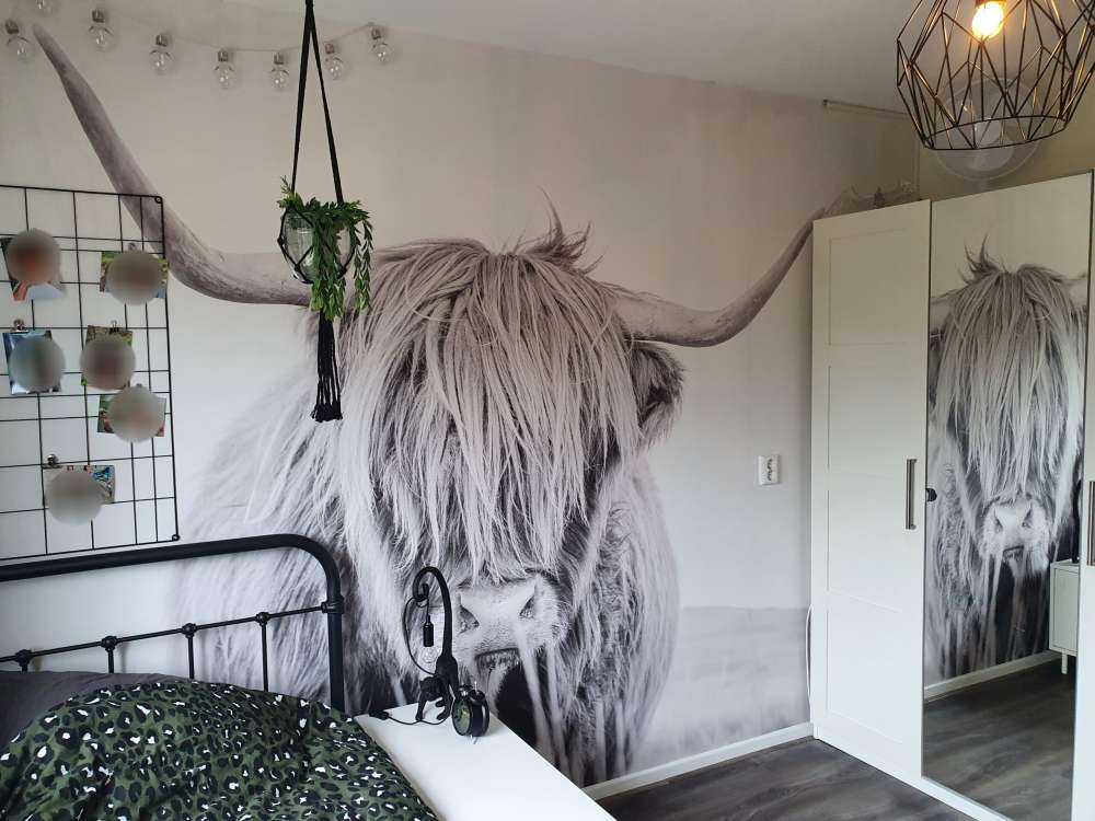 Primo piano di un Highlander scozzese