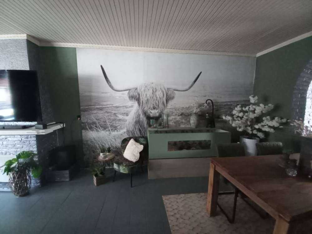 Highlander scozzese con canna