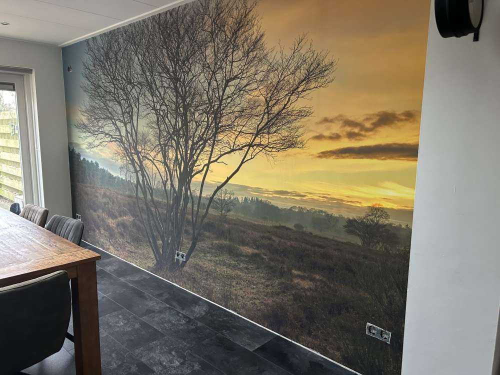 L'alba nella brughiera