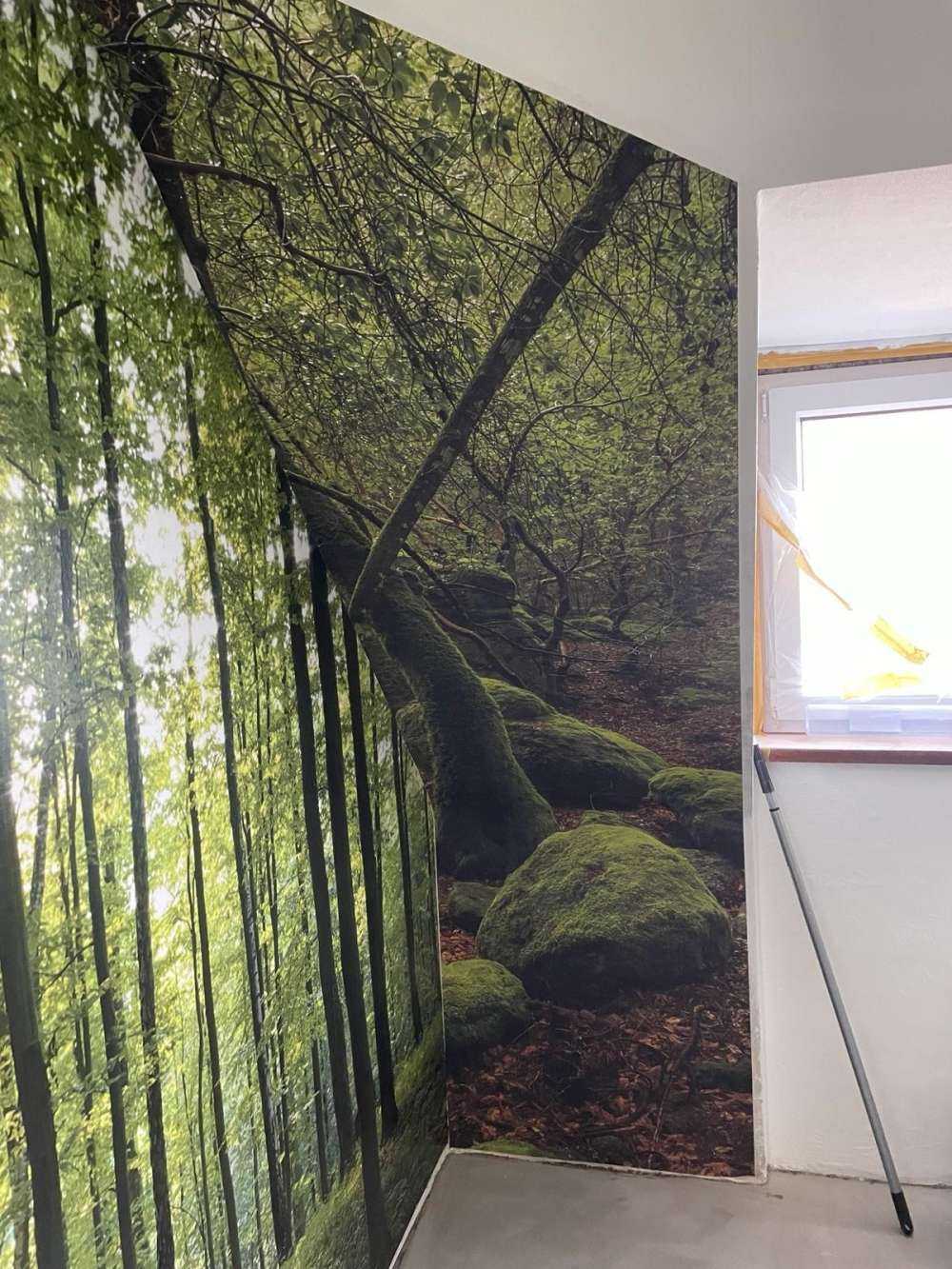 Alberi e pietre di muschio