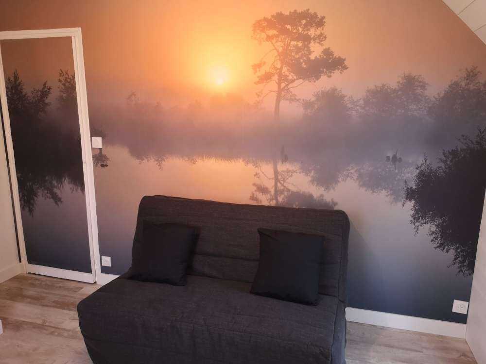 Foresta con alberi ad alto fusto