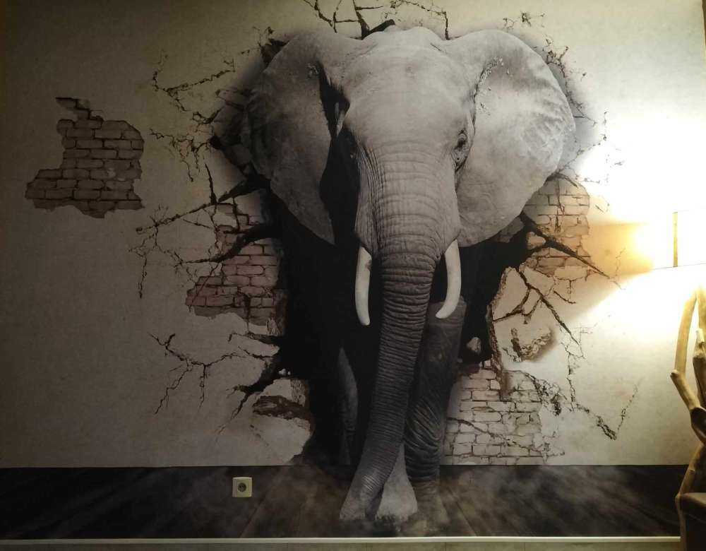 Elefante 3D dal muro