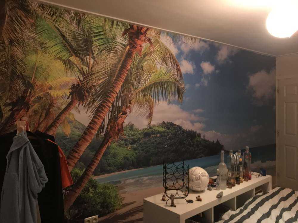 Bella spiaggia con palme