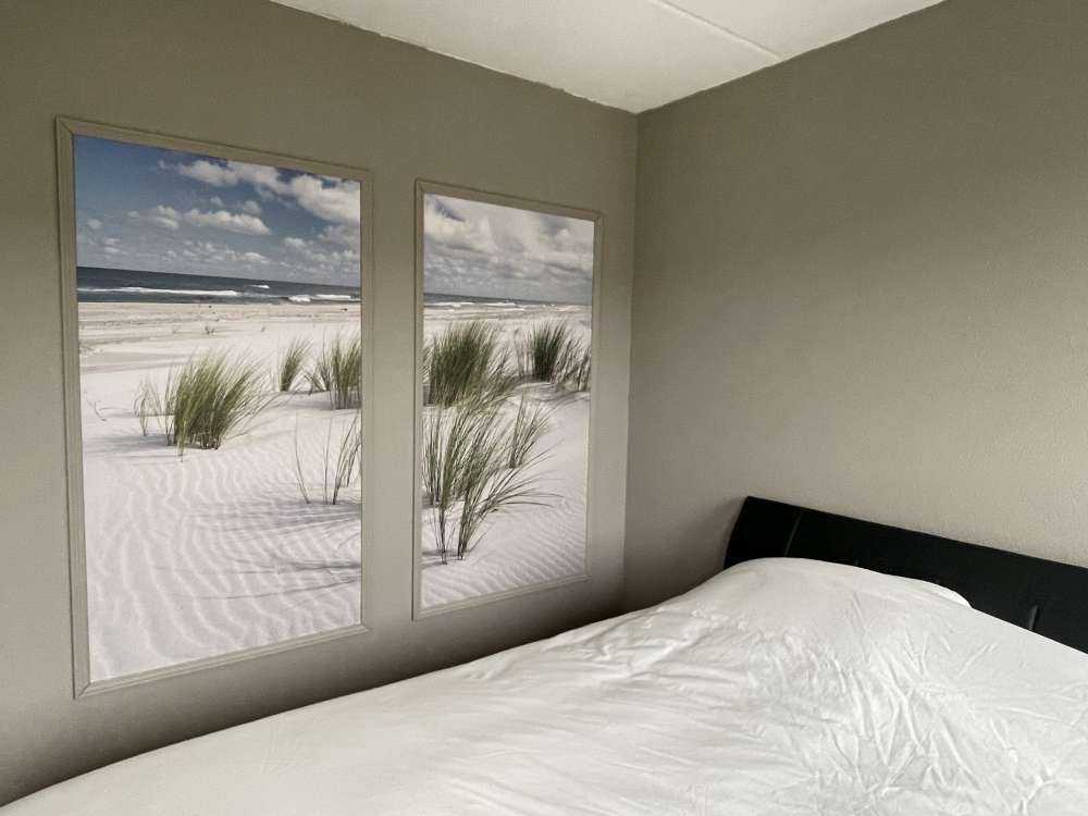 Spiaggia con piante di duna