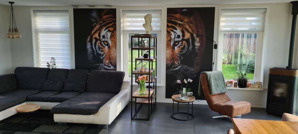 Panorama della tigre