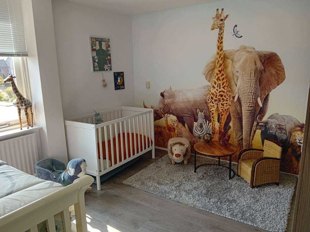 Animali nella savana