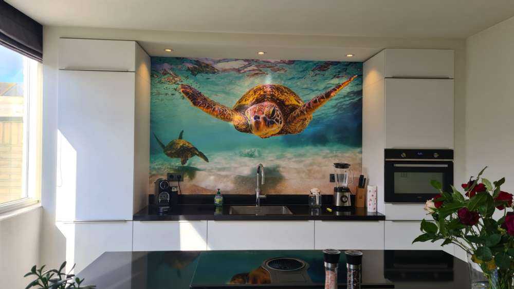 Tartaruga marina nell'oceano