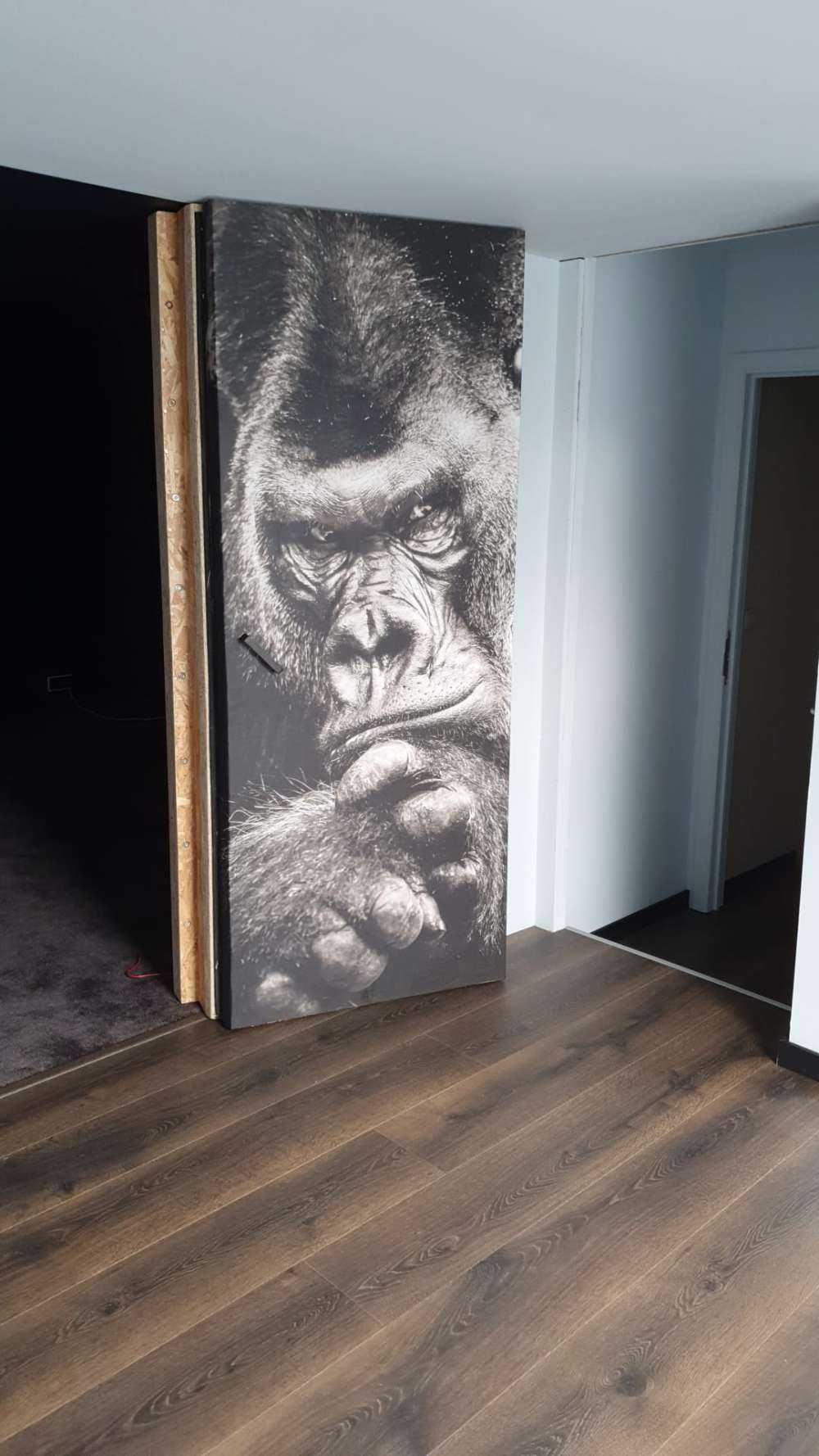 Immagine ravvicinata di un gorilla