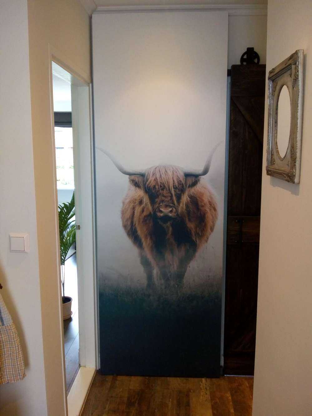 Highlander scozzese in una fitta nebbia