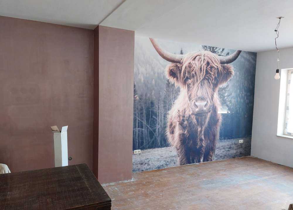 Highlander scozzese vicino alla foresta