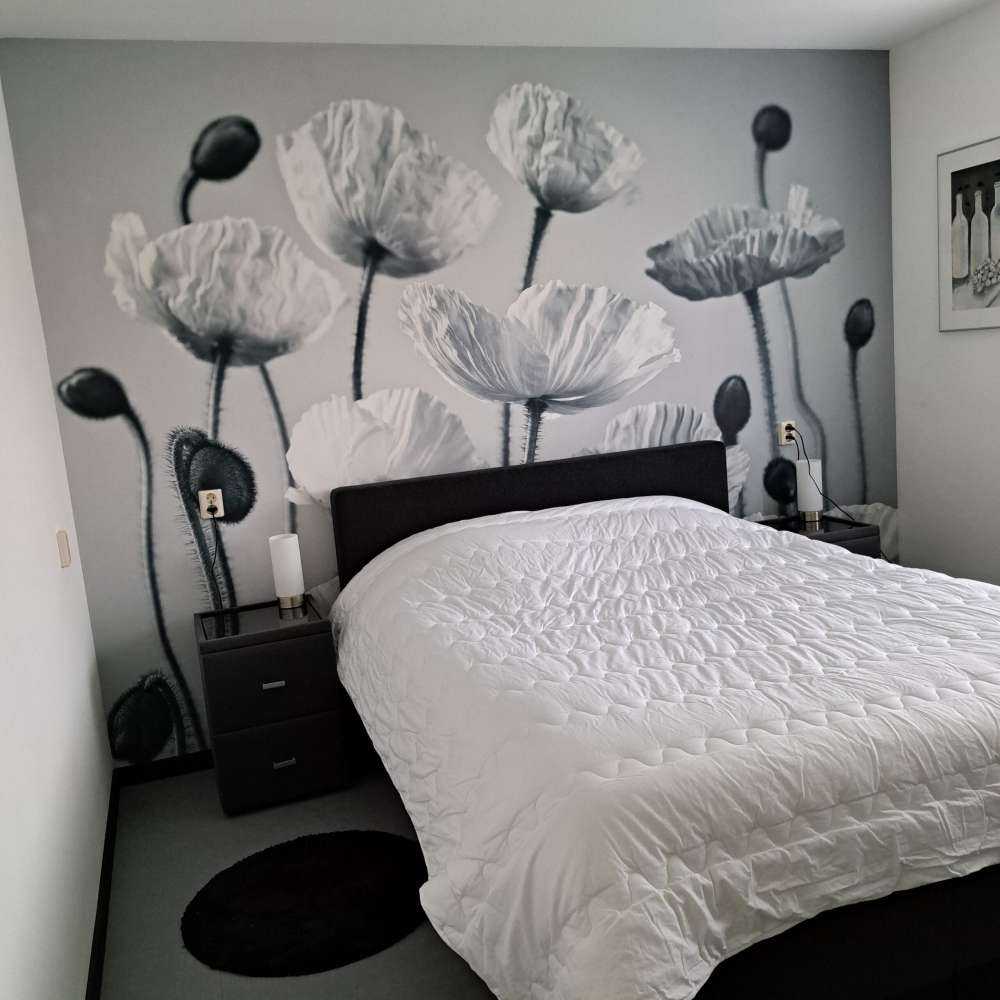 Papaveri di tono blu