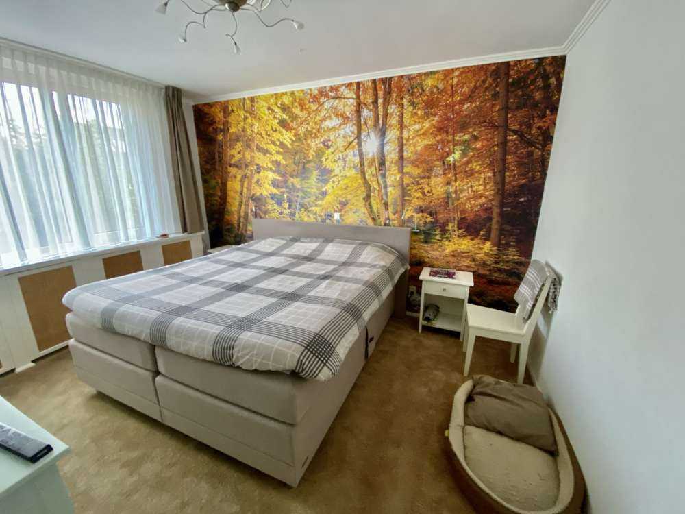 Autunno nella foresta selvaggia