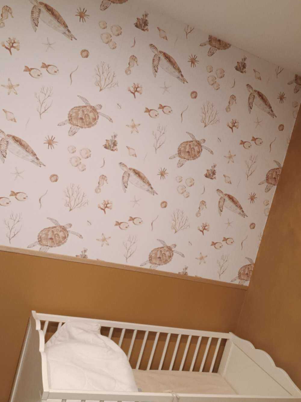 Conchiglie e creature marine