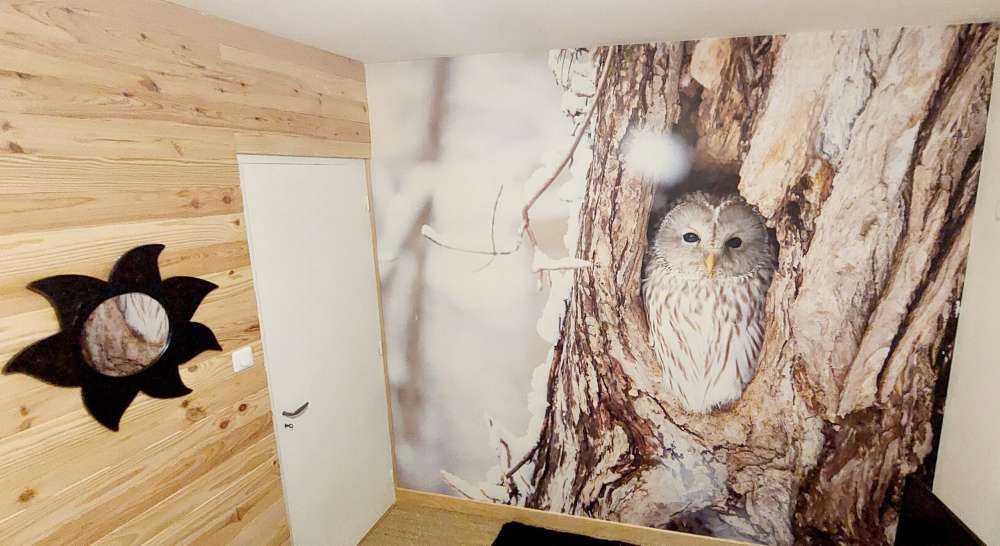 Gufo bianco in un albero cavo