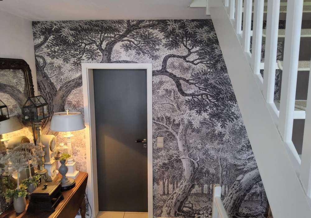 Vista sulla foresta con due cervi