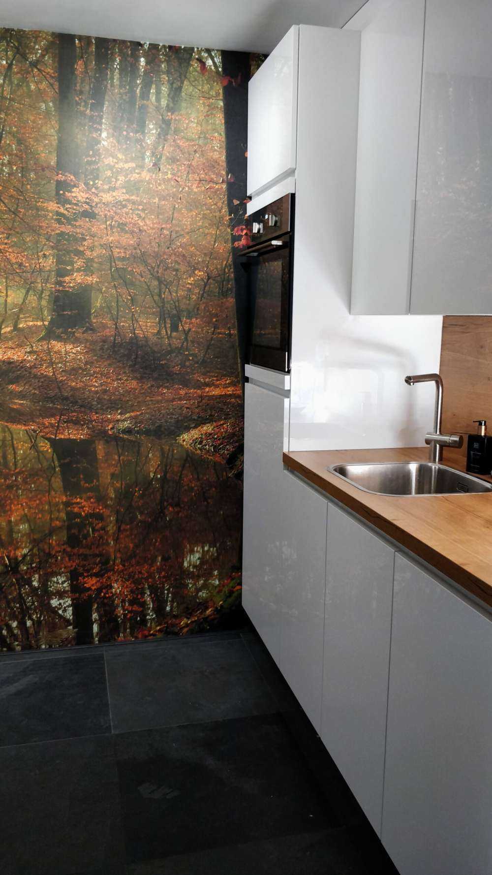 Fiume attraverso la foresta