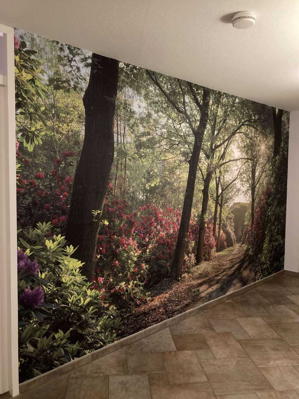 L'alba al sentiero con i rododendri