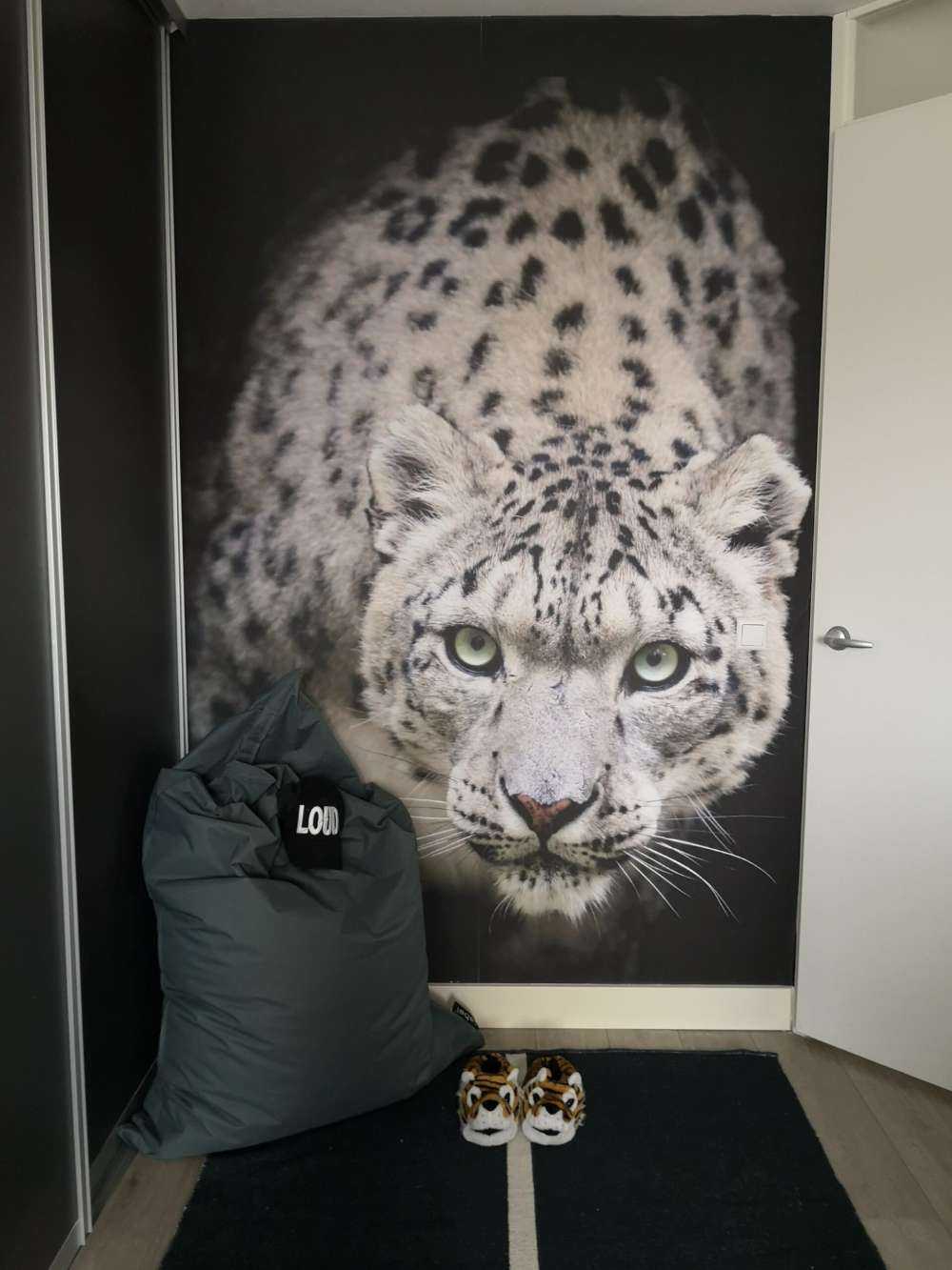 Leopardo delle nevi