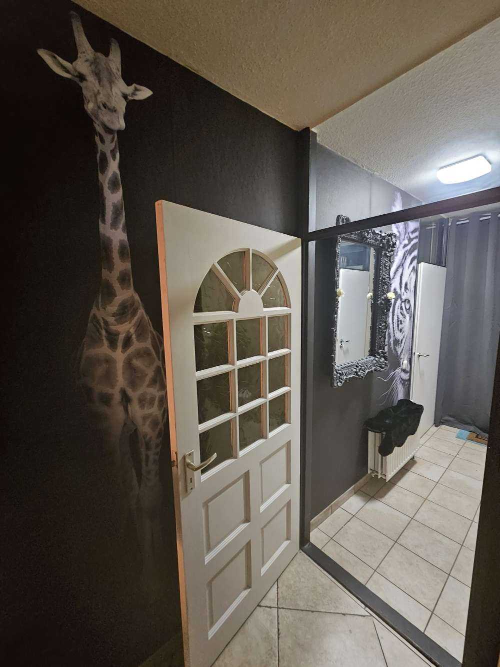 Panorama della tigre