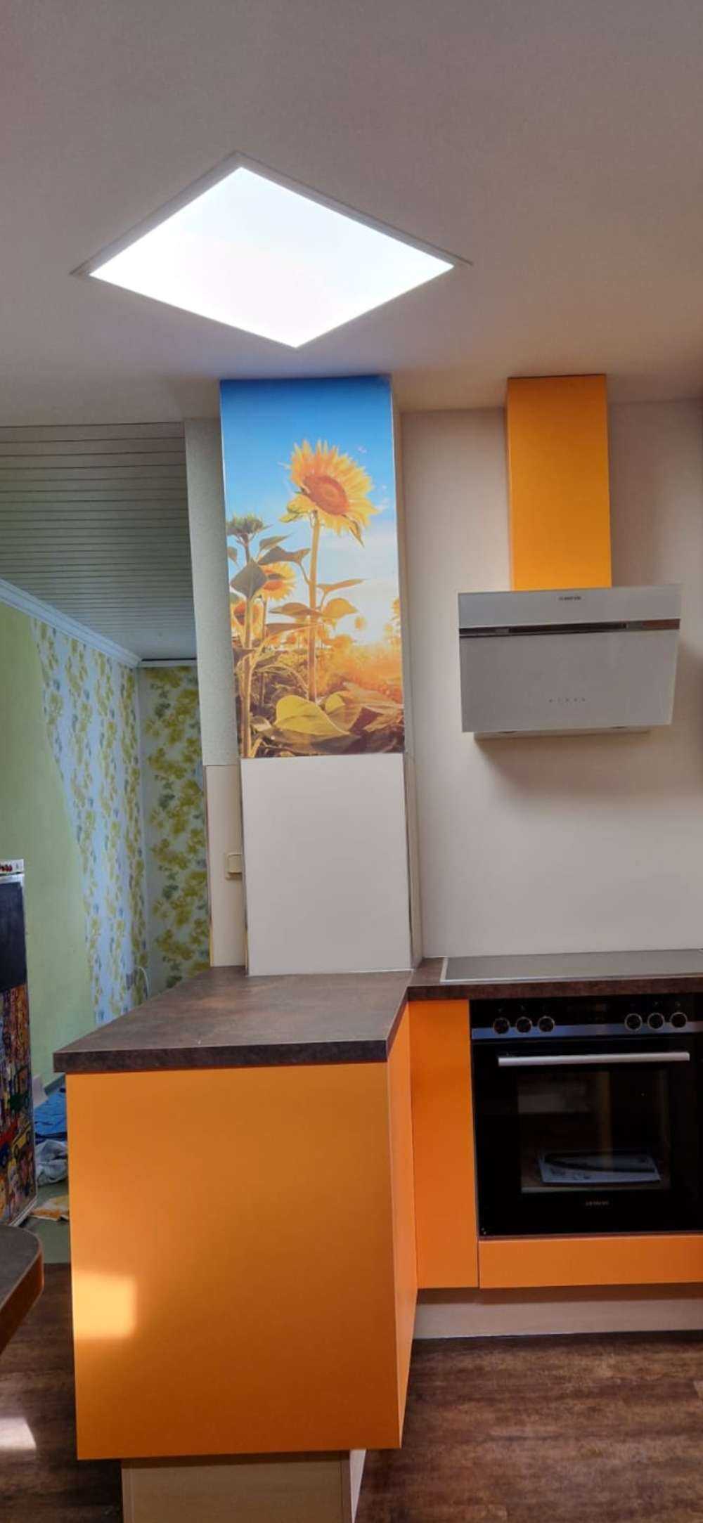 Girasole con cielo blu