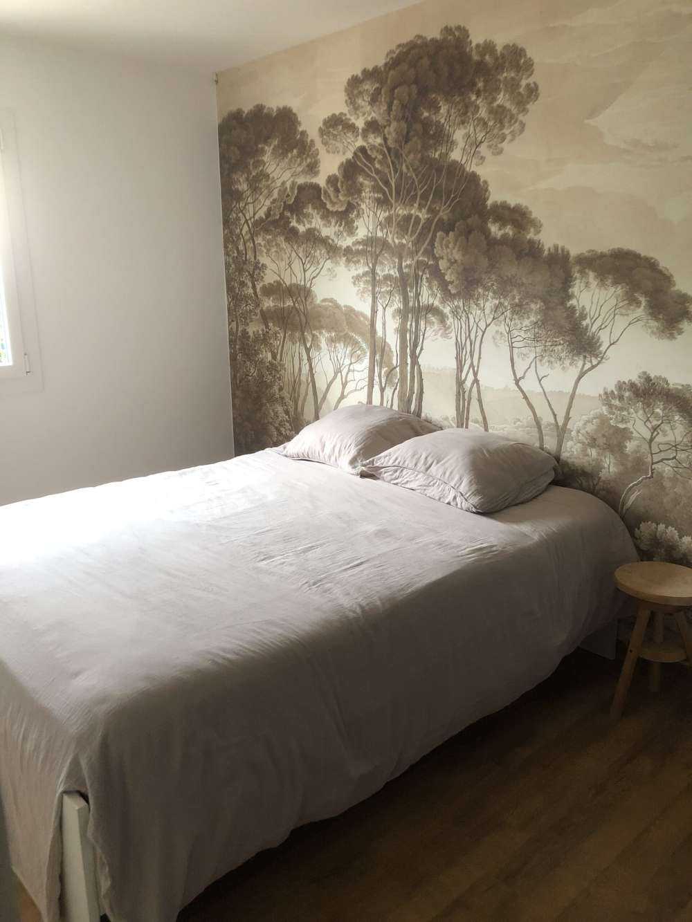 Paesaggio forestale vicino a Roma con il sole al tramonto