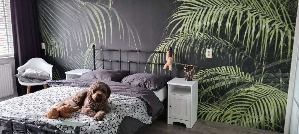 Pianta con foglie verdi