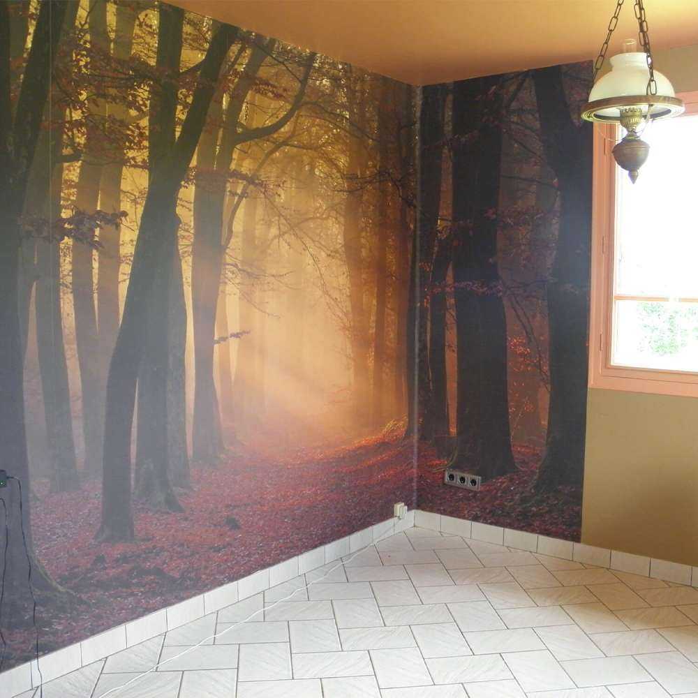 Misteriosa foresta d'autunno