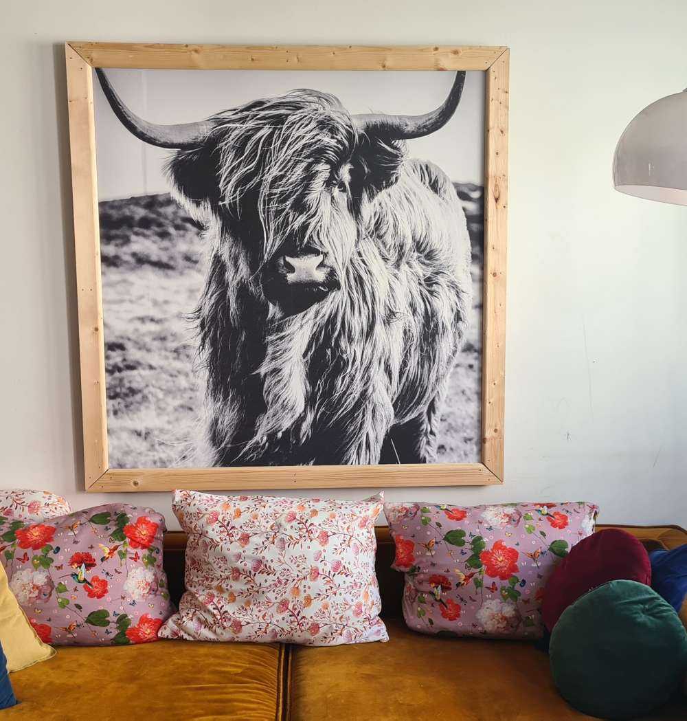 Highlander scozzese in bianco e nero